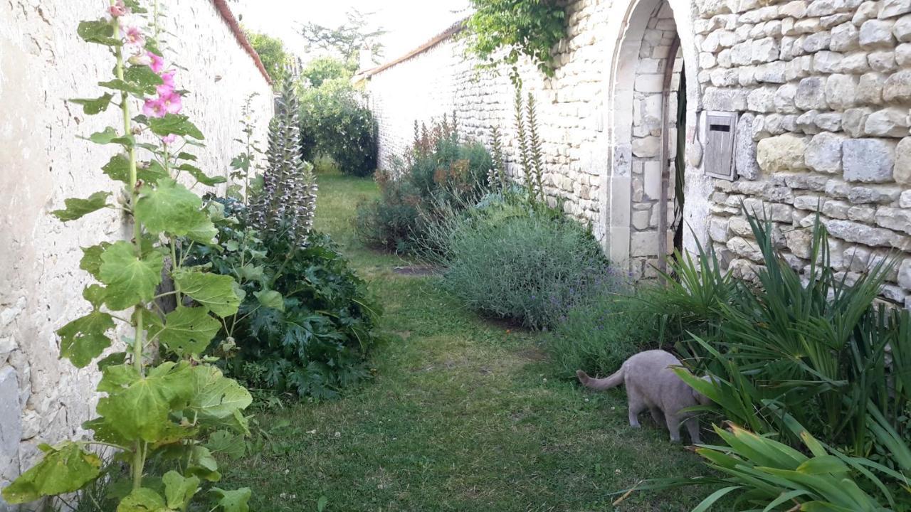 Les Jardins De Clerjotte Bed and Breakfast Saint-Martin-de-Ré Exteriör bild